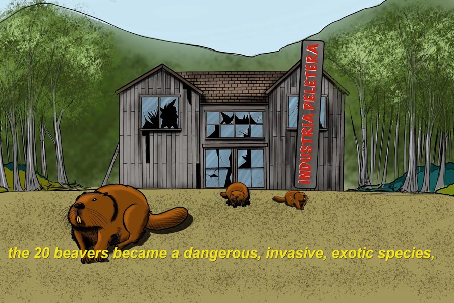 La invasión del castor