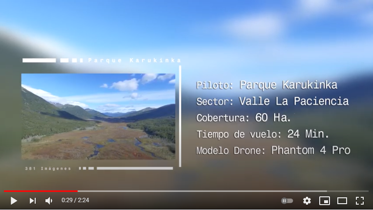 Impacto del Castor en Tierra del Fuego – Karukinka