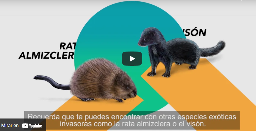 Sistema de Alerta Temprana – Detección del Castor en la Patagonia