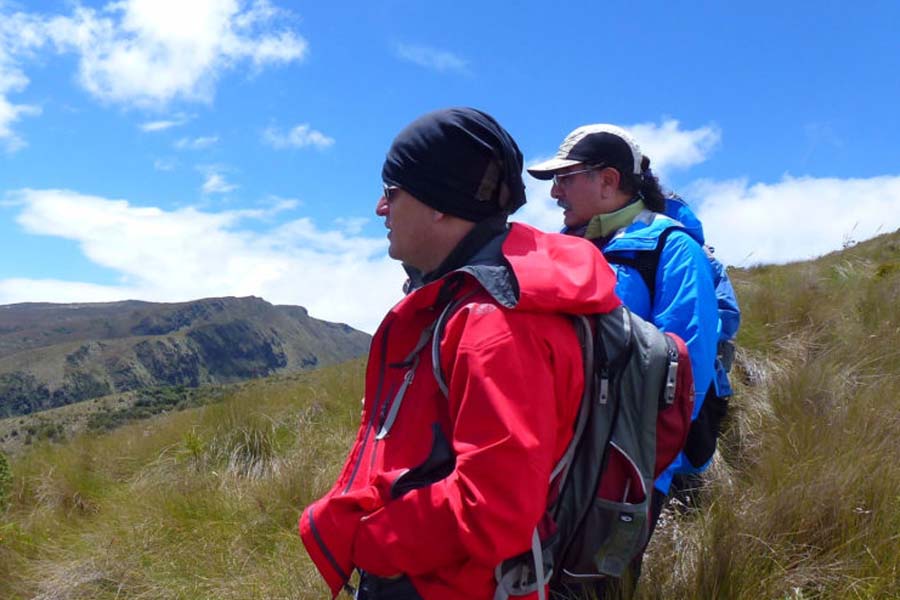 GEF Montaña evalúa conectar a Chile a red mundial de monitoreo