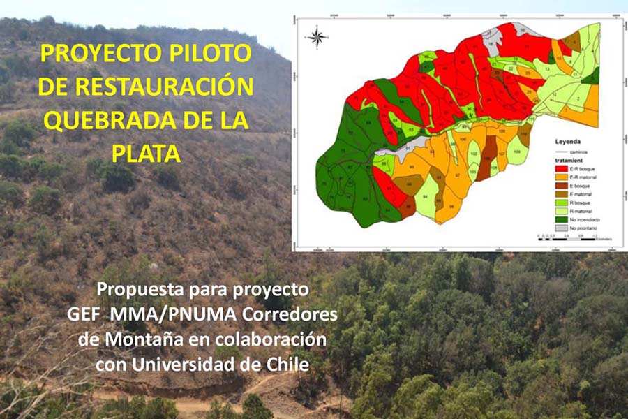 GEF Corredores Biológicos de Montaña Participa en Seminario de Restauración