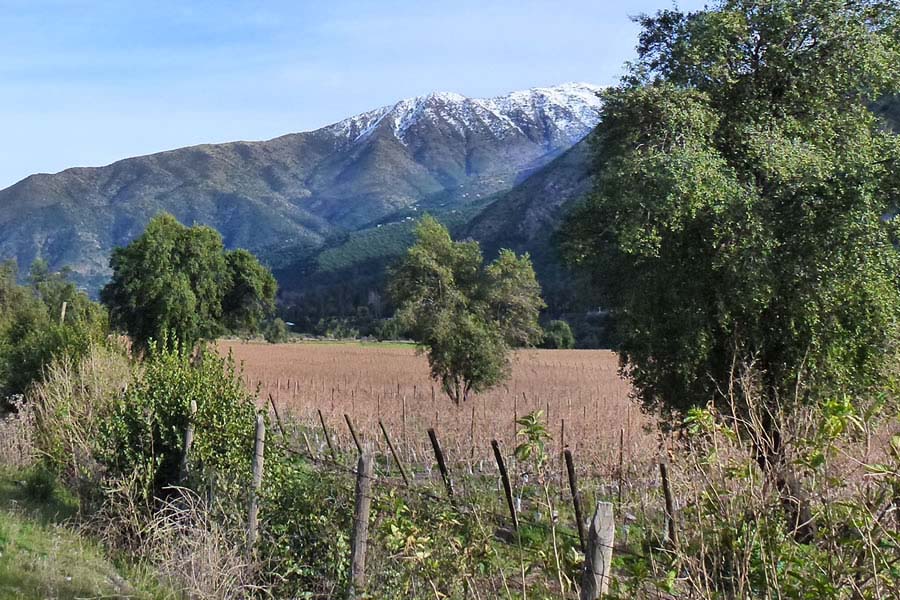 GEF Montaña Avanza en Promoción de Prácticas Productivas para Proteger la Biodiversidad