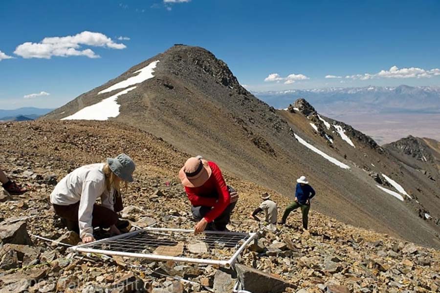 Chile ingresará a red mundial de monitoreo de biodiversidad