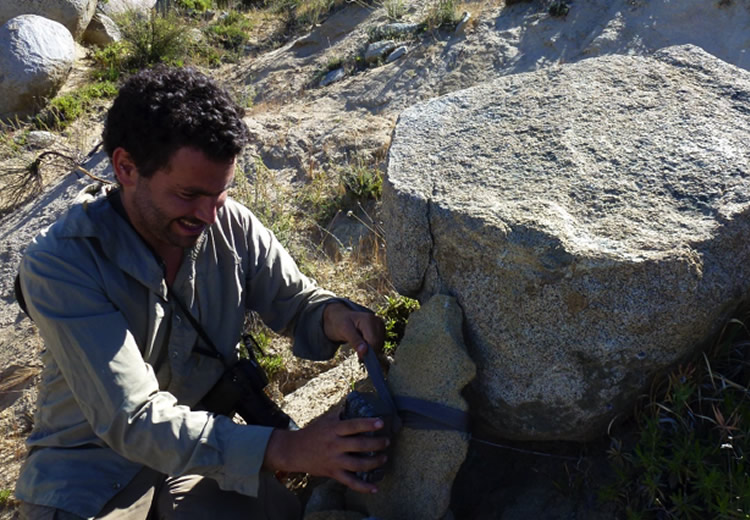Se analizan primeros datos del Sistema de Monitoreo de Biodiversidad