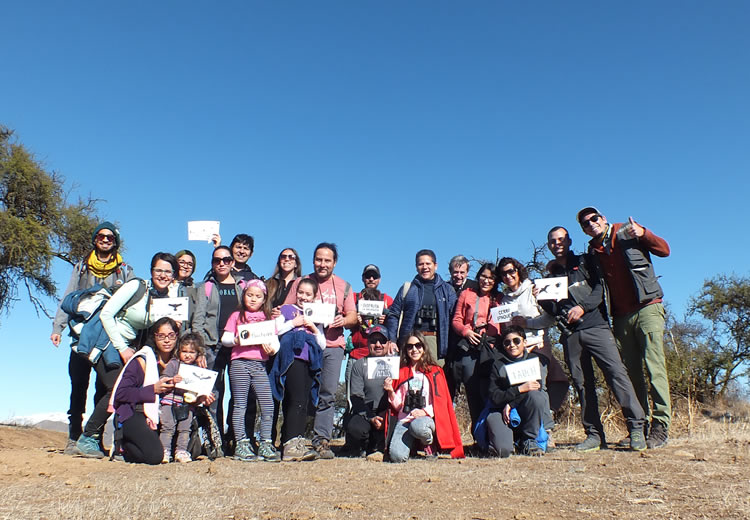 Recorrido de avistamiento de aves en el cerro Lonquén