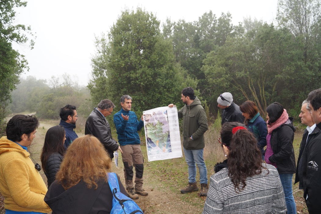 Trabajo conjunto busca proteger, recuperar y fortalecer el uso sostenible de los bosques mediterráneos de la zona central del país