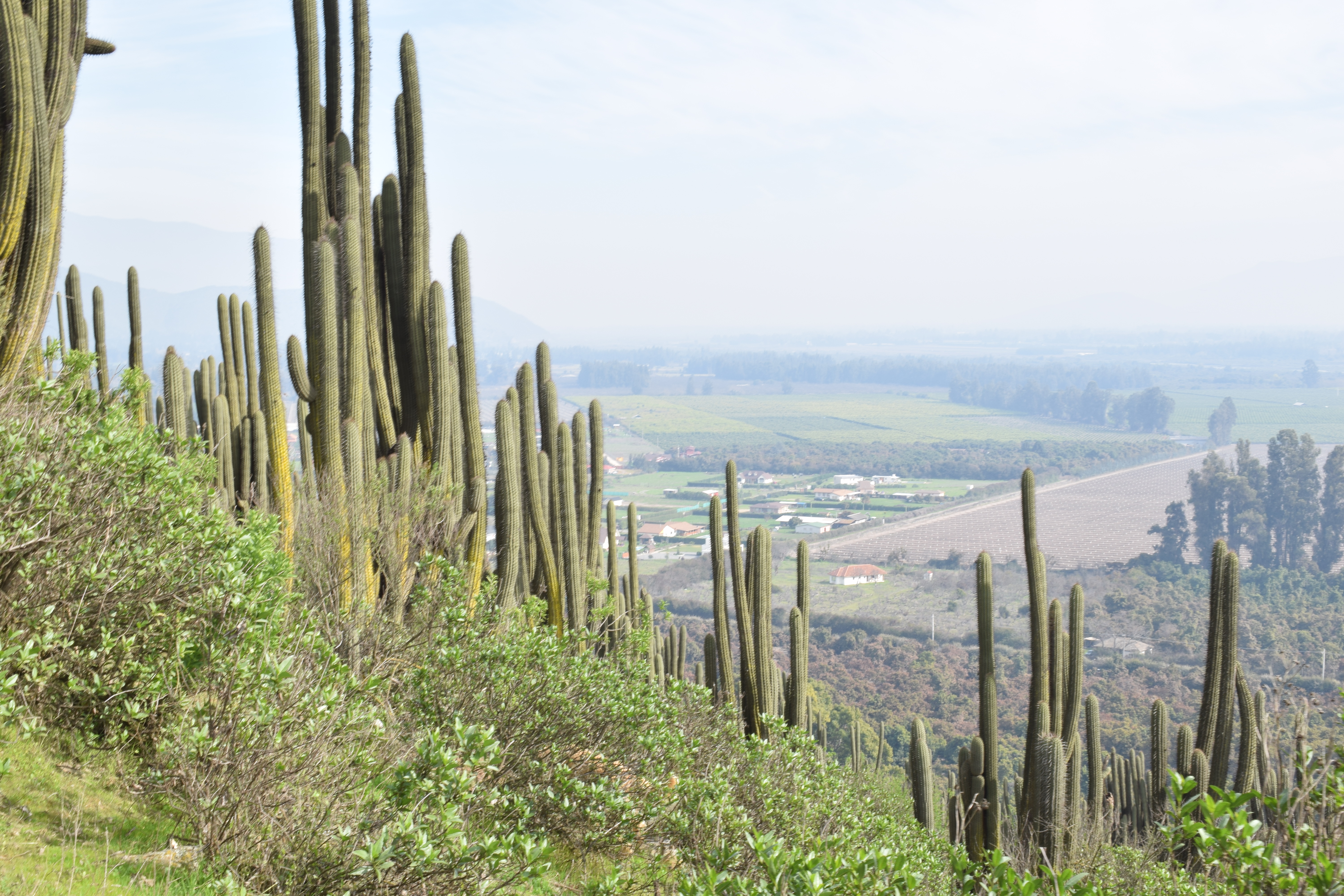 Comenzó la Planificación Estratégica de tres Paisajes de Conservación en la Región Metropolitana