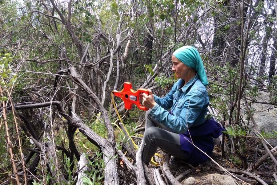 Proyecto GEF Montaña da a conocer resultados del primer Sistema de Monitoreo de la Biodiversidad interinstitucional del país