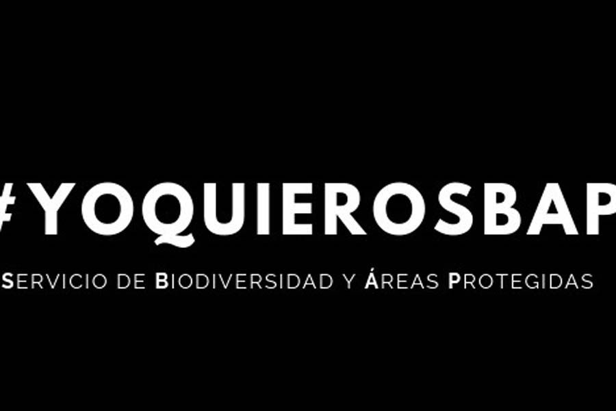 Senado aprobó el proyecto de ley que crea el Servicio de Biodiversidad y Áreas Protegidas