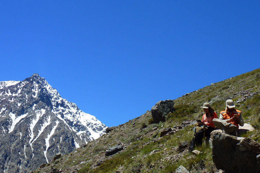 Inédito levantamiento de 10.000 registros florísticos reveló que origen nativo predomina en las montañas del Valle Central de Chile