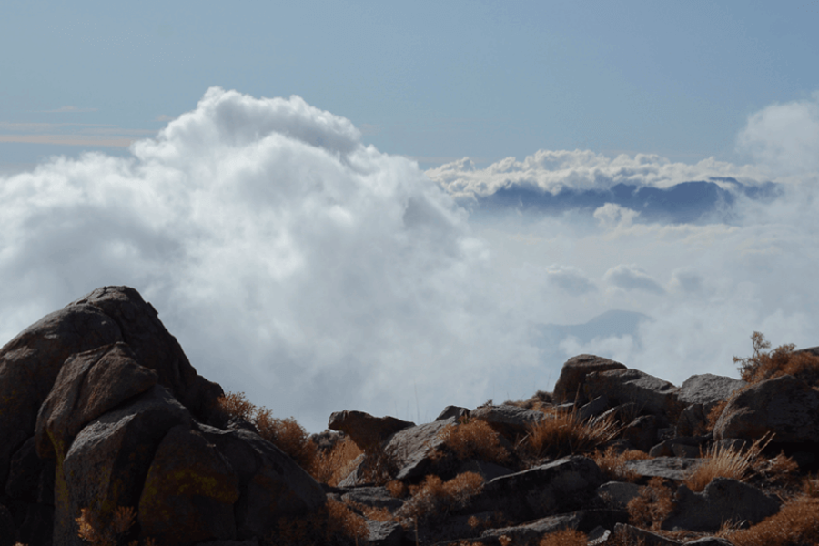 Santuario de la Naturaleza Cerro El Roble: los malos cuidados que ocasionaron su cierre al público