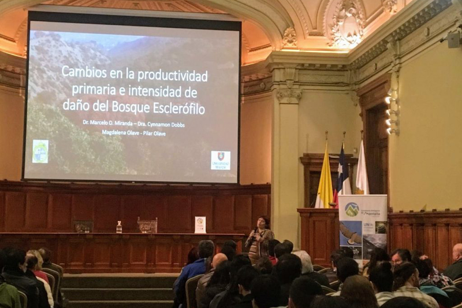 Seminario aborda los nuevos escenarios y desafíos que impone el cambio climático