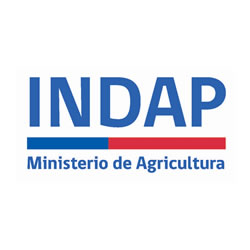 Logo INDAP Instituto de Desarrollo Agropecuario