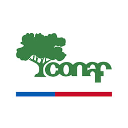 Logo CONAF Corporación Nacional Forestal