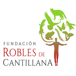 Logo Fundación Robles de Cantillana