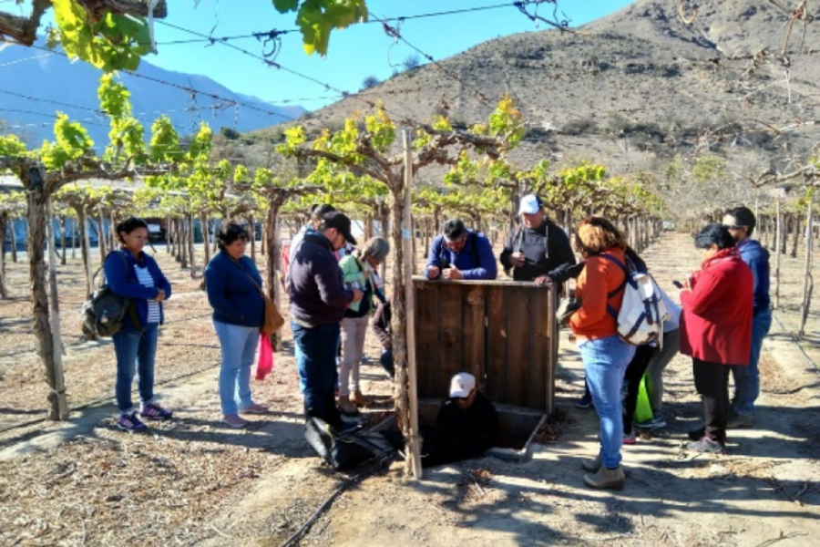 Agricultores PRODESAL de Isla de Maipo participan de gira técnica e intercambio de experiencia en la Región de Coquimbo