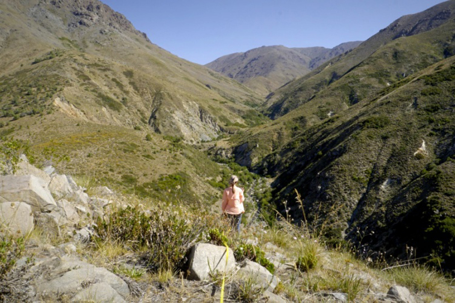 Chile realiza esfuerzos institucionales para integrar red mundial de observación de la vegetación altoandina ante los efectos del cambio climático