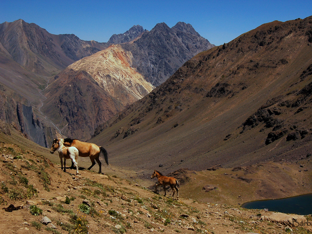 Montañas
