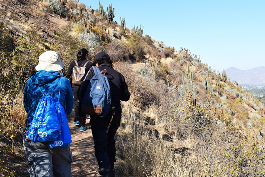 Proyecto GEF Montaña realiza primera reunión anual de la Mesa de Gobernanza de Municipios socios