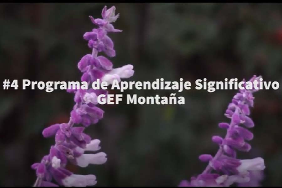 #4 Programa GEF Montaña de Aprendizaje Significativo – La Reina
