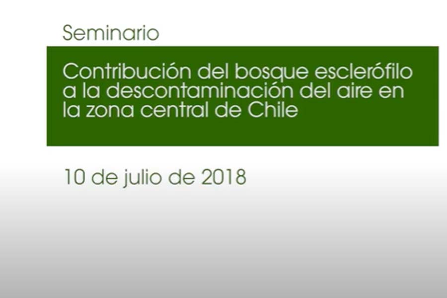 #2 Seminario: Contribución del bosque esclerófilo a la descontaminación del aire.
