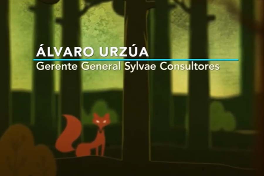 Álvaro Urzúa: Estudio identificación de elaboración de madera para usos nobles (bosque mediterráneo)