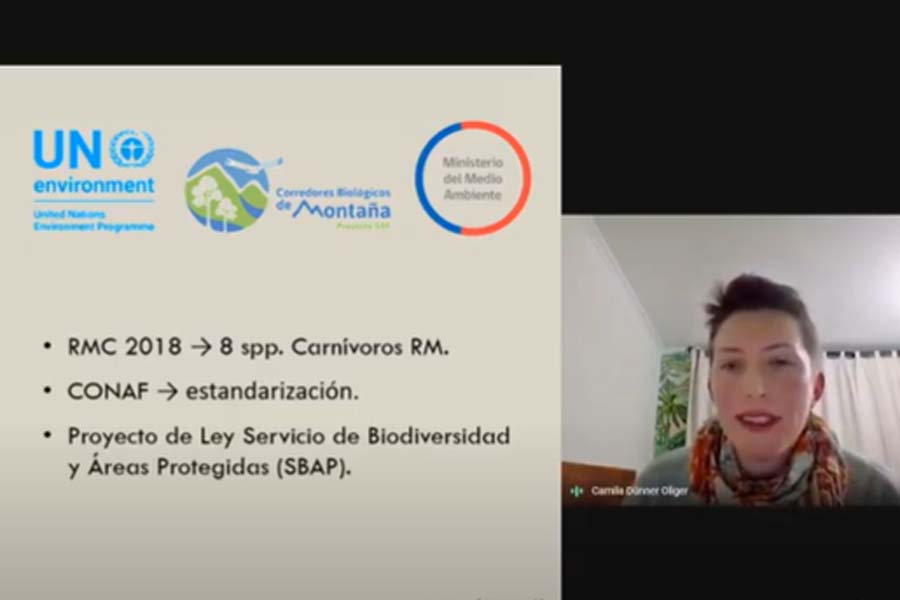 Camila Dünner – Revelando la vida secreta de nuestra fauna nativa