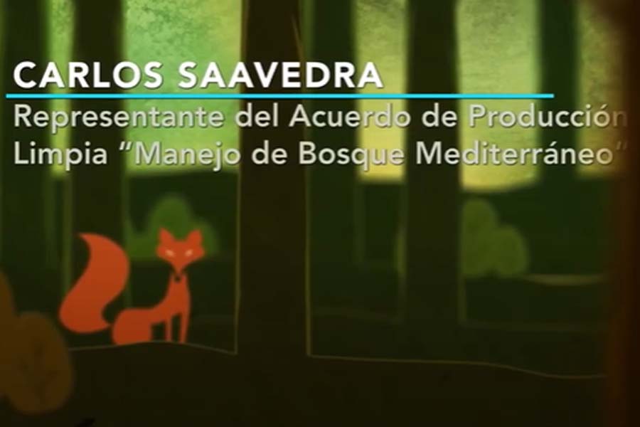 Carlos Saavedra: Reflexiones del modelo de Ordenación Forestal
