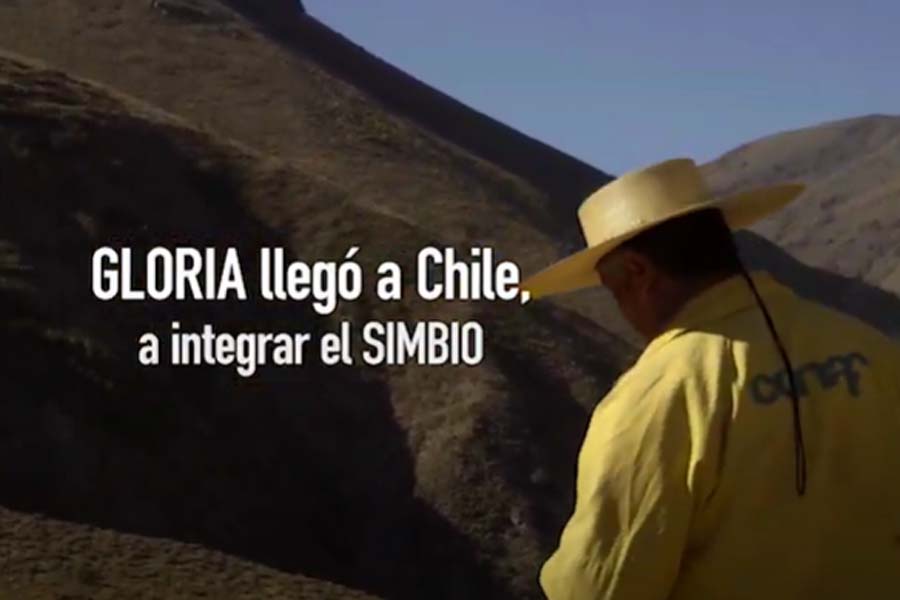 GLORIA llegó a Chile