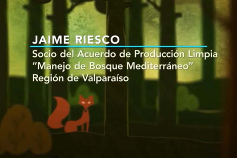 Aprendizajes de propietarios y experiencias de faenas de modelos de ordenación en bosques bajos
