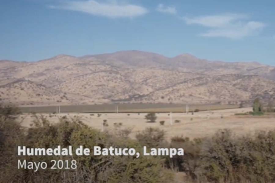 #6 Programa GEF Montaña de Aprendizaje Significativo – Lampa