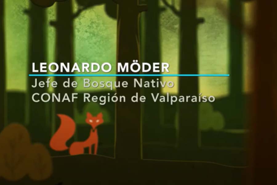 Leonardo Möder: Potencias y brechas de normativa para sostenibilidad
