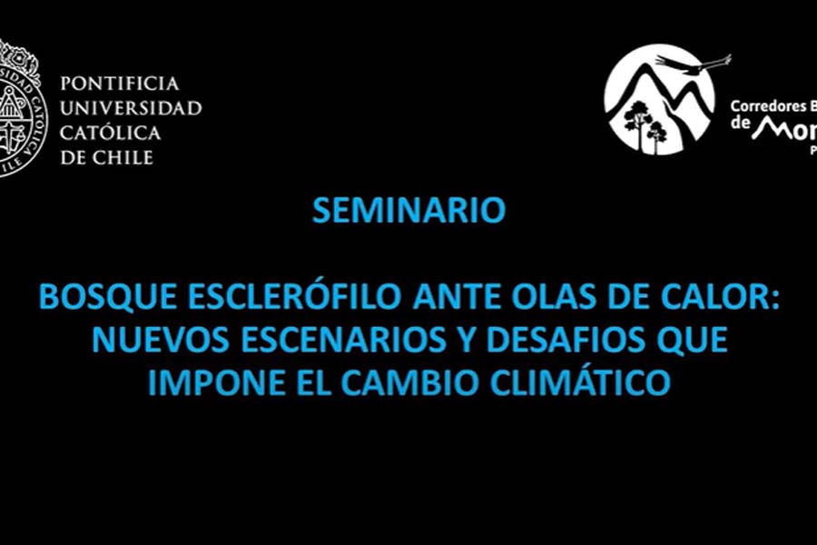 Seminario Bosque Esclerófilo ante Olas de Calor. Bloque #2