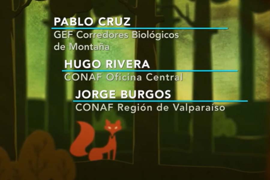 Conceptos y Modelo de Ordenación Forestal construido en Proyecto del APL de Bosques de la V Región