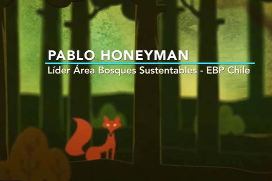 Pablo Honeyman: Ordenación Forestal, una oportunidad para los mercados de carbono
