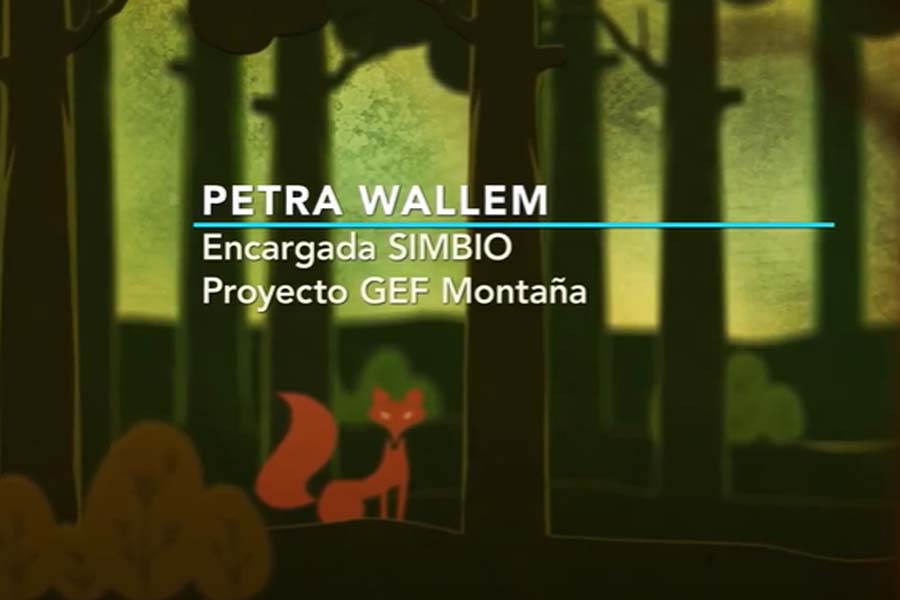 Petra Wallem: Nivel de referencia propuesto por GEF Corredores Biológicos de Montaña