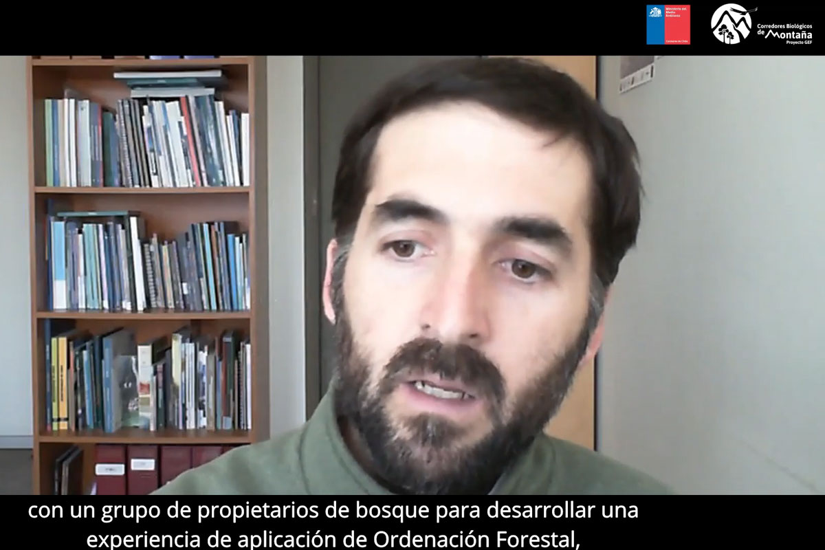 Seminario Ordenación Forestal