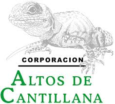 Logo Corporación Altos de Cantillana