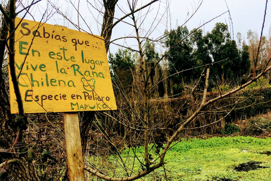 Comunas de la Provincia de Talagante se unen para recuperar la ribera del río Mapocho