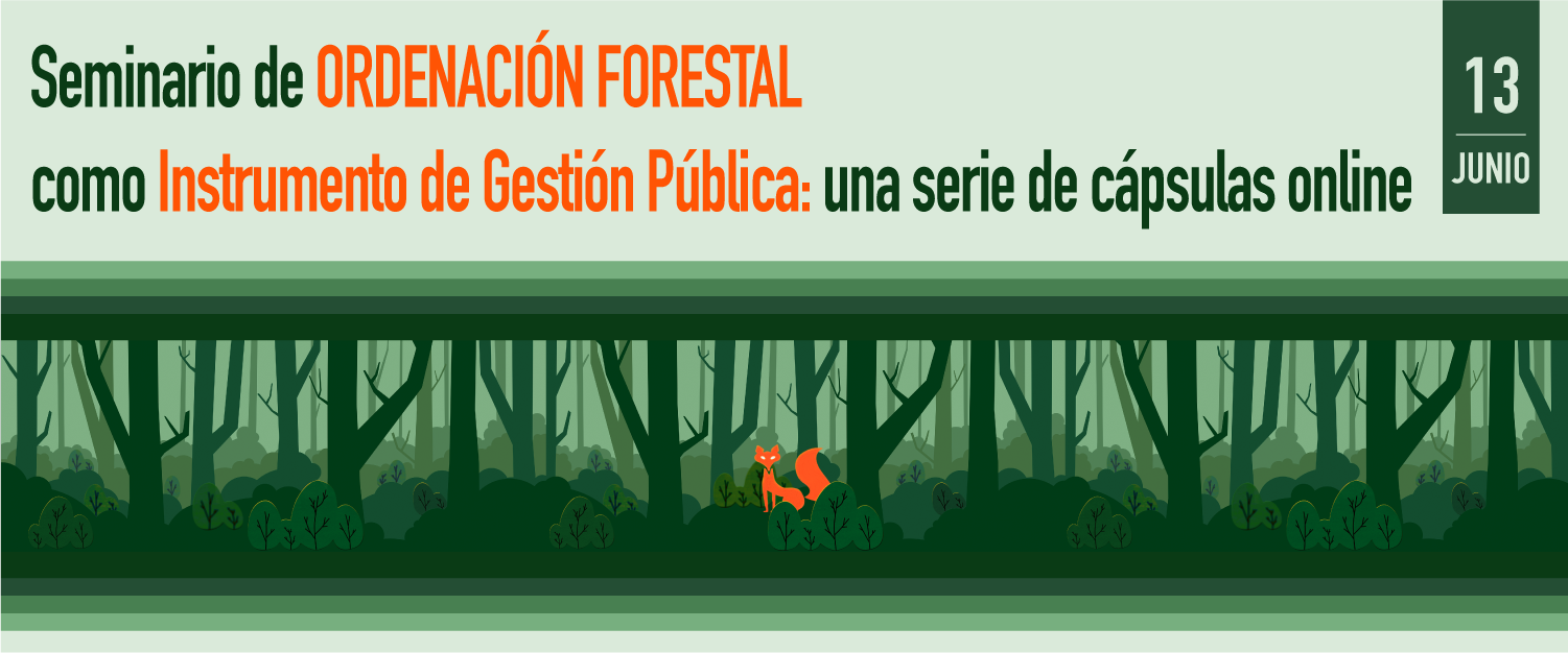 Primer Seminario de Ordenación Forestal como Instrumento de Gestión Pública: una serie de cápsulas online