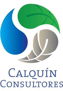 Logo Calquín Consultores