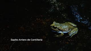El ciclo del agua