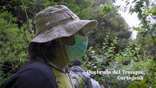 ZOOM AL SENDERO – CARTAGENA 2