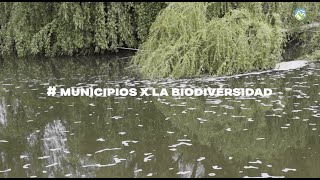 #MunicipiosXLaBiodiversidad Peñaflor
