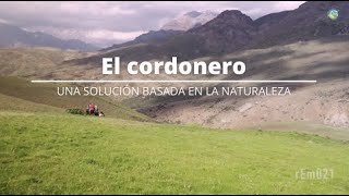 Ganadería Sustentable #2: El Cordonero, una solución basada en la naturaleza