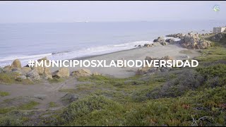 #MunicipiosXLaBiodiversidad Santo Domingo