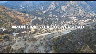 #MunicipiosXLaBiodiversidad Curacaví