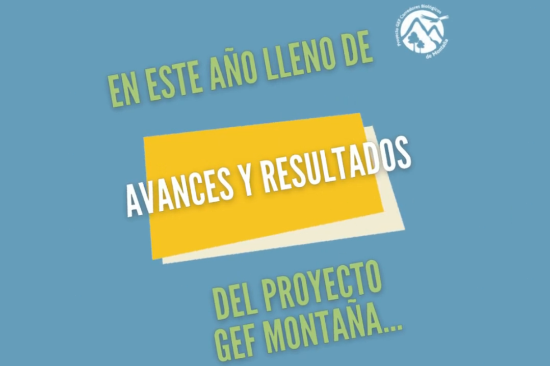 Avances 2021 GEF Montaña