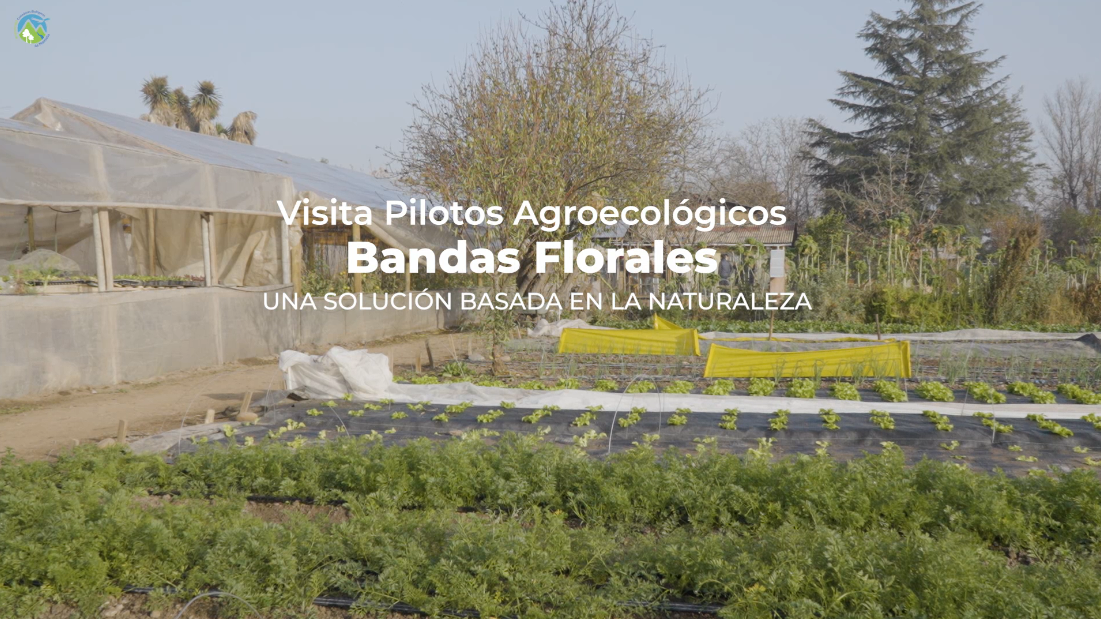 Visita Ministra del Medio Ambiente a Piloto Agroecológico en Calera de Tango