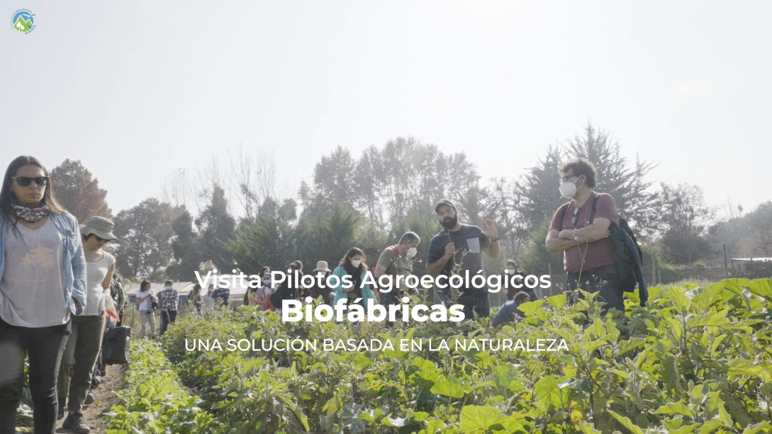 Visita Ministro de Agricultura a Piloto Agroecológico en Isla de Maipo